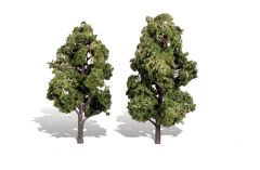 Classic Trees Sun Kissed 6-7in