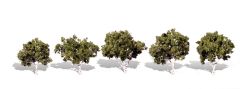 Classic Trees Waters Edge 1.25-2in