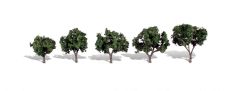 Classic Trees Cool Shade 1.25-2in