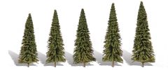 Classic Trees Forever Green 2-3.5in