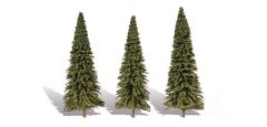 Classic Trees Forever Green 6-7in