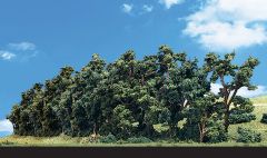 Classic Trees Hedgerow 1-4in