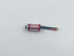 Brushless Motor Wikked