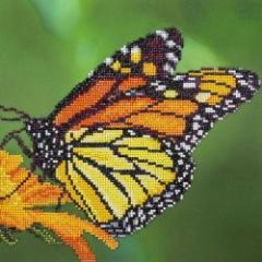 Diamond Dotz Art Monarch Butterfly 12 x 12