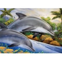 Dolphin Island Paint by Number