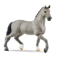 French Saddlehorse Stallion