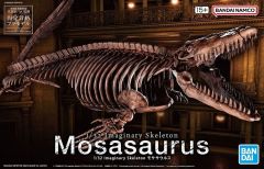 Mosasaurus Skeleton 1/32
