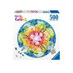 Circle Of Colors Ice Cream 500pc