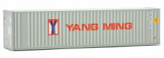 40ft HC Container YangMing