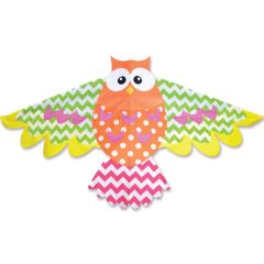 Rainbow Owl Kite 65in