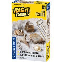I Dig It Dinos Real Fossils Excavation Kit