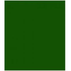 Proto-Paint 1oz CP Action Green