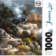 James Lee Assorted 1000pc