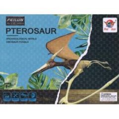 Pterosaur Archaeology Kit