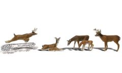 Deer N Scale