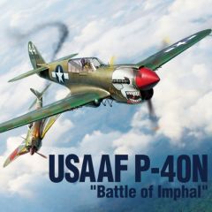 USAF P-40N Battle of Imphal 1/48