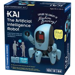 KAI The AI Robot