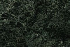 Lichen Dark Green