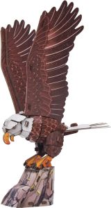 Sky Echo Bald Eagle Kit