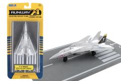 Runway 24 F-14 Tomcat