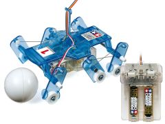 Remote Control Mechanical Insect Kit