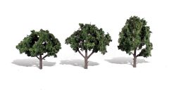 Classic Trees Cool Shade 4-5in