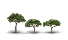 Canopy Trees 2-3.5in 3pc