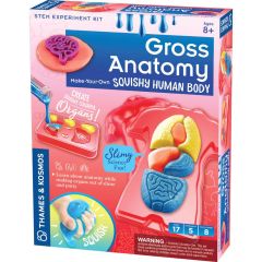 Gross Anatomy Squishy Human Body Kit